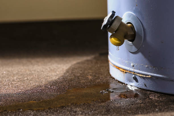 Best Flood restoration services  in Jenkintown, PA