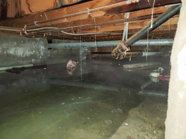 Best Fire Damage Restoration  in Jenkintown, PA