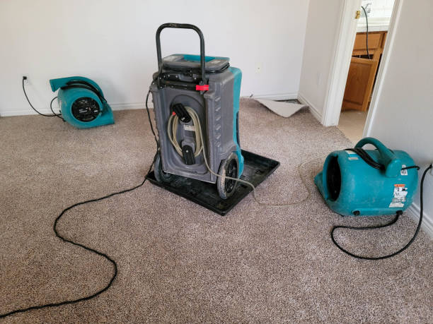 Best 24/7 water damage repair  in Jenkintown, PA
