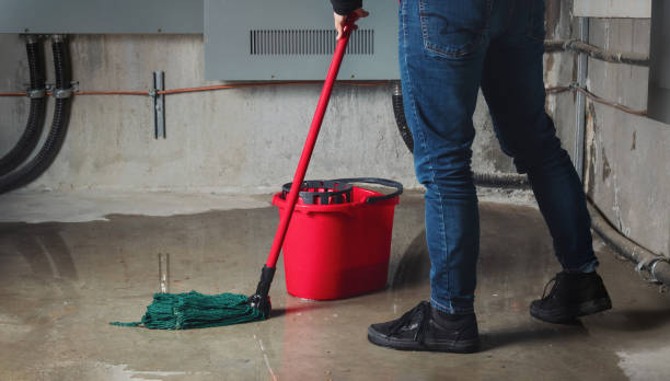 Best Local water damage restoration  in Jenkintown, PA